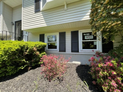 peguero-construction-Paradigm-window